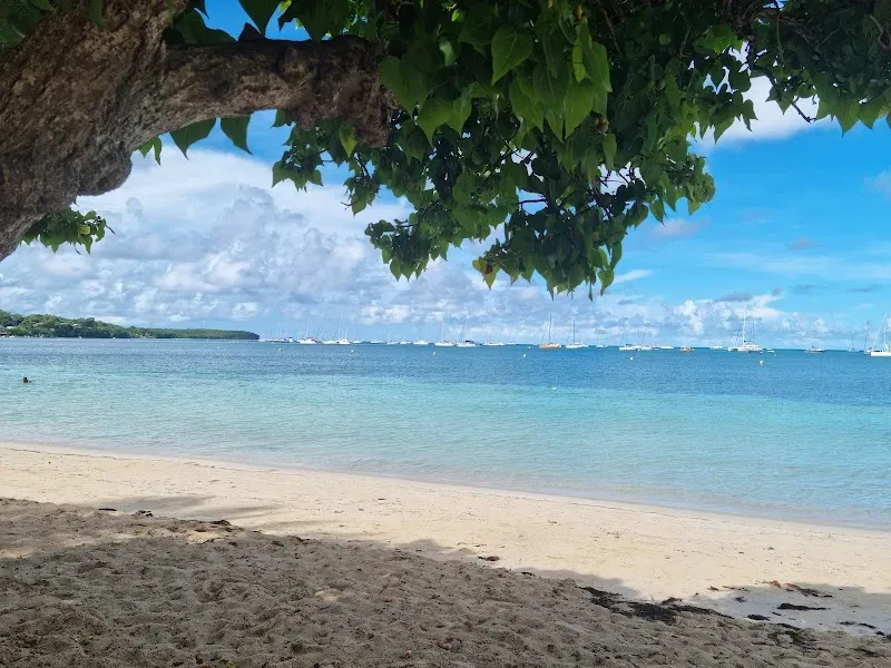 Plage Municipale de Sainte-Anne