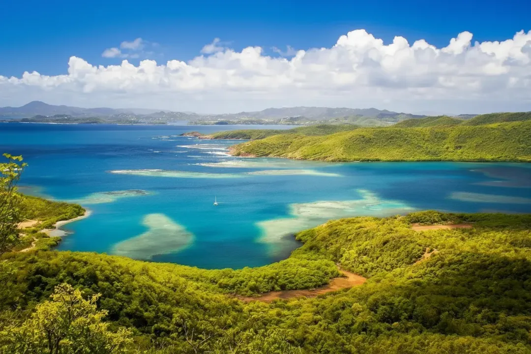 Presqu'île de la Caravelle - Nature attraction in the Caribbean