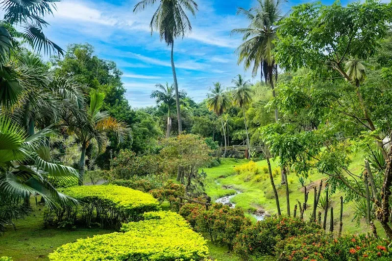 ZOO Martinique HOUSING LATOUCHE - Nature attraction in the Caribbean