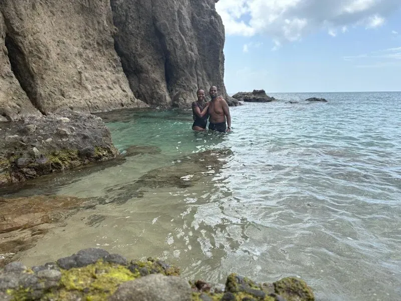 Fish ‘N Fins Clubhouse - Nature attraction in the Caribbean