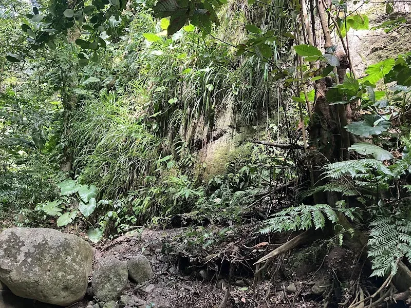 Soldier Ghaut Petroglyphs