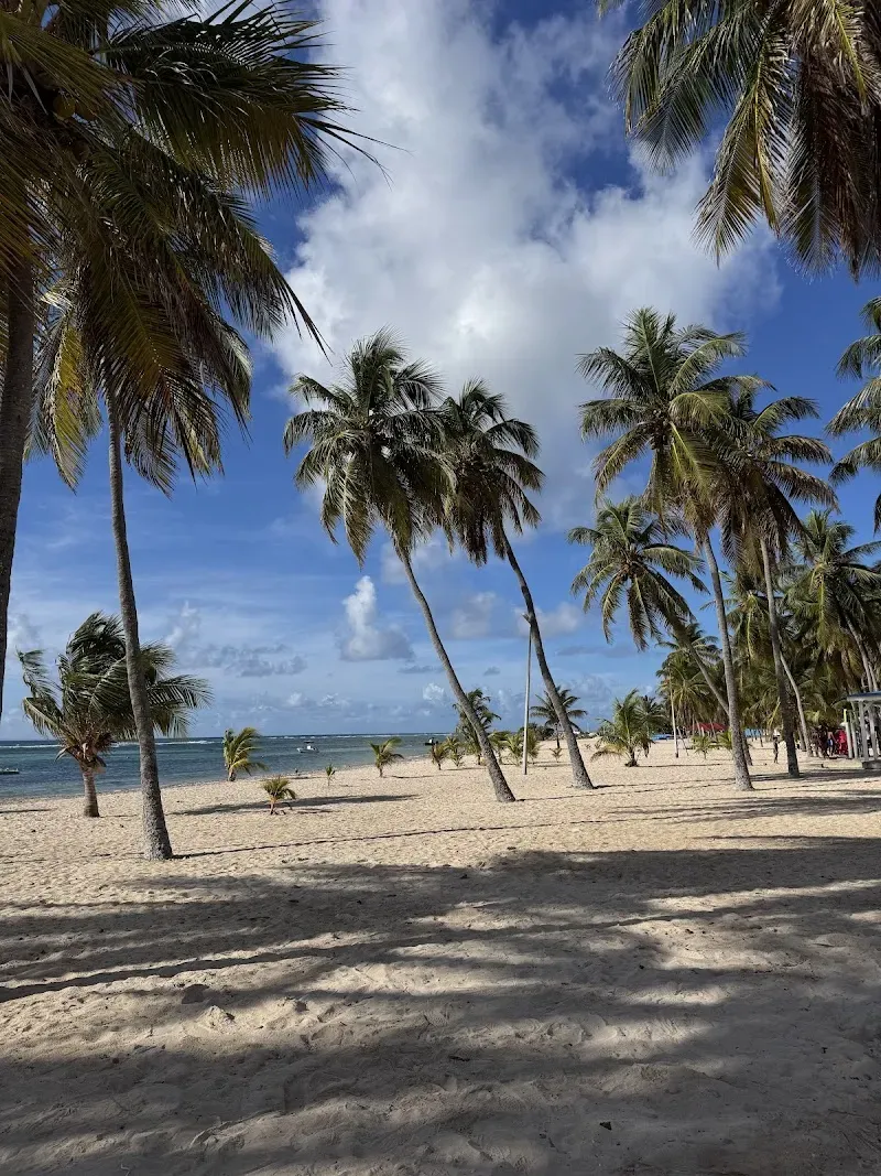 Plage à fifi - Nature attraction in the Caribbean