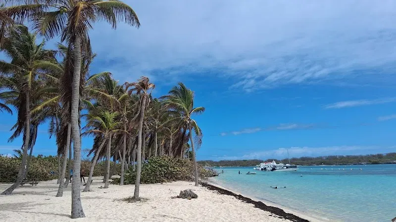 Plage De Petite Terre - Nature attraction in the Caribbean