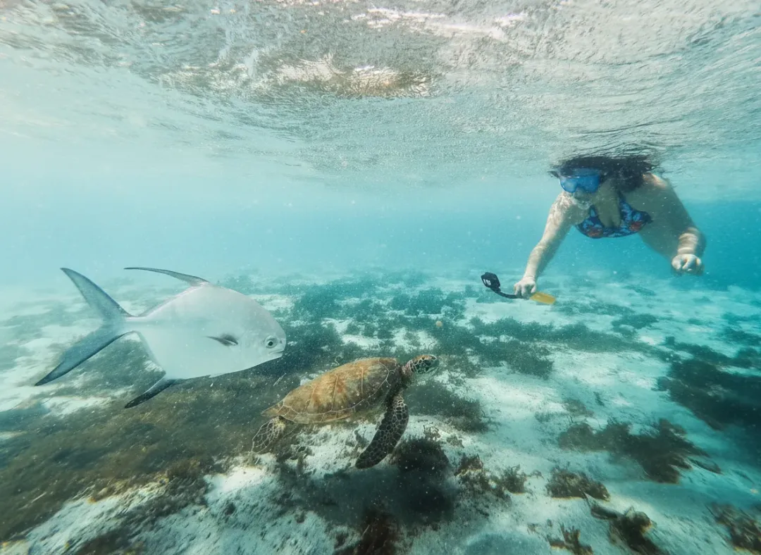 Récif Corallien de Petite Terre - Marine attraction in the Caribbean