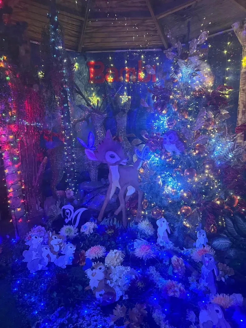 Christmas Forest (Bosque Mágico) - Nature attraction in the Caribbean