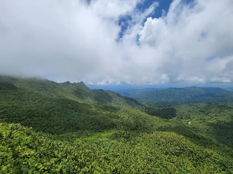 El Yunque National Forest - Nature attraction in the Caribbean