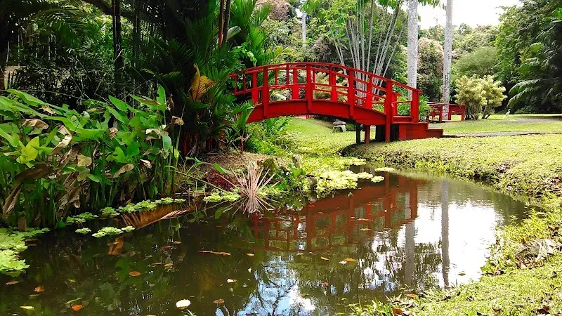 Jardín Botánico de la UPR - Nature attraction in the Caribbean