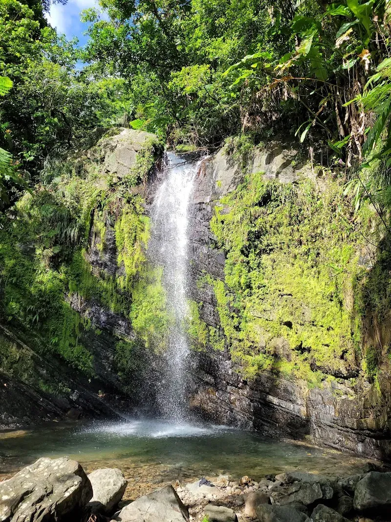Quebrada Juan Diego - Nature attraction in the Caribbean