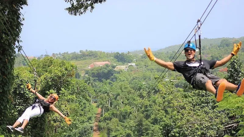 Rainforest Zipline Park - Cultural attraction in the Caribbean