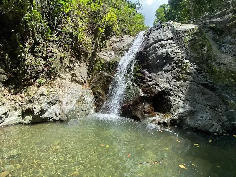 Rincón Familiar Jurutungo - Nature attraction in the Caribbean