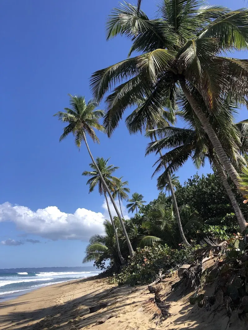 SANDY BEACH - Nature attraction in the Caribbean