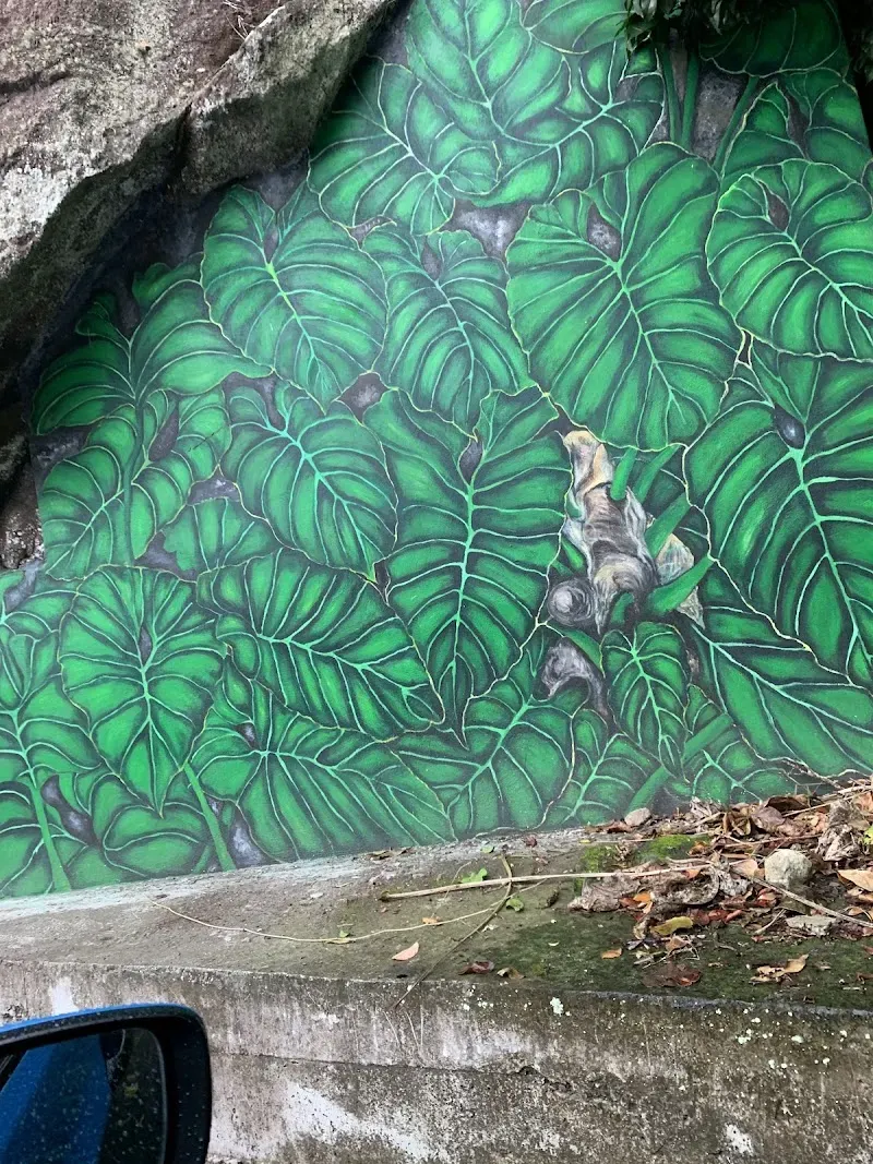 Elephant Ears Mural - Nature attraction in the Caribbean