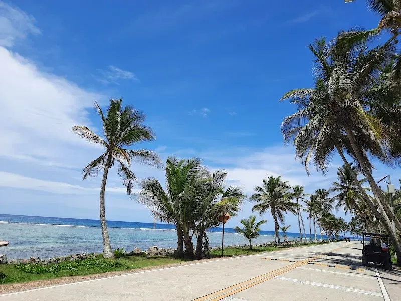 Palm Road (calle de las palmas)
