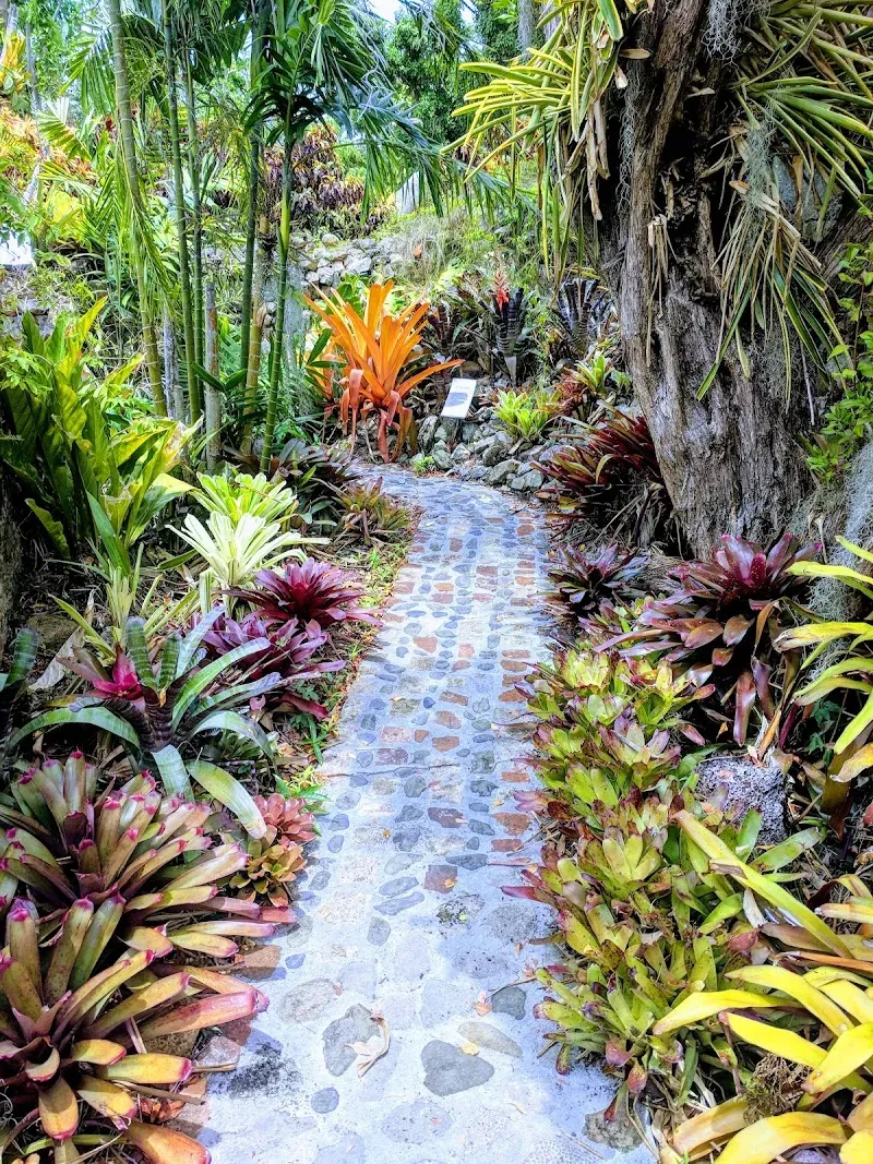 St George Village Botanical Gardens - Nature attraction in the Caribbean