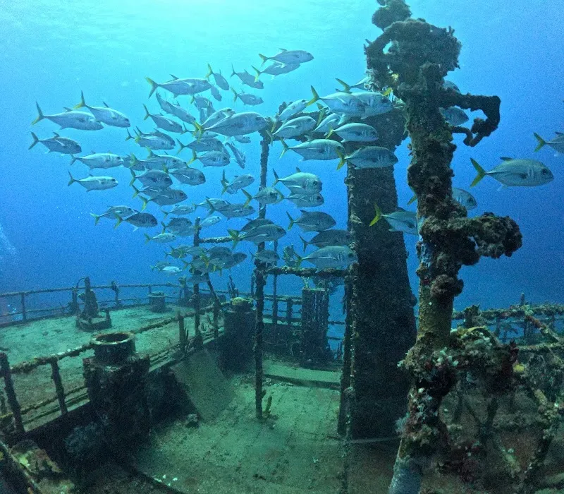 Chien Tong - Dive Site - Nature attraction in the Caribbean