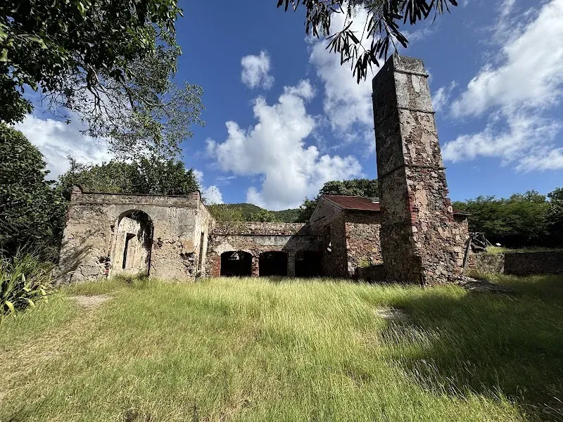 Reef Bay Sugar Mill Ruins - Nature attraction in the Caribbean