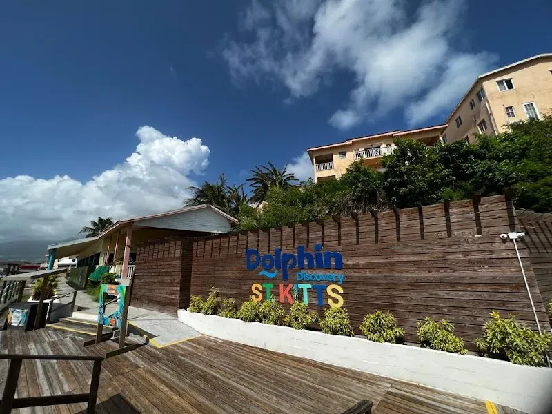 Dolphin Discovery St Kitts - Nature attraction in the Caribbean