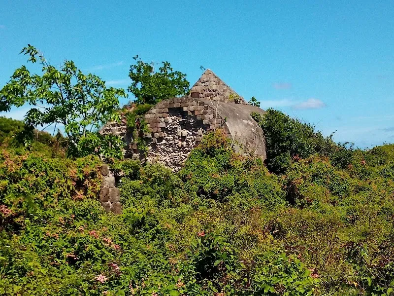 Ruins Of The Eden Brown Estate - Nature attraction in the Caribbean