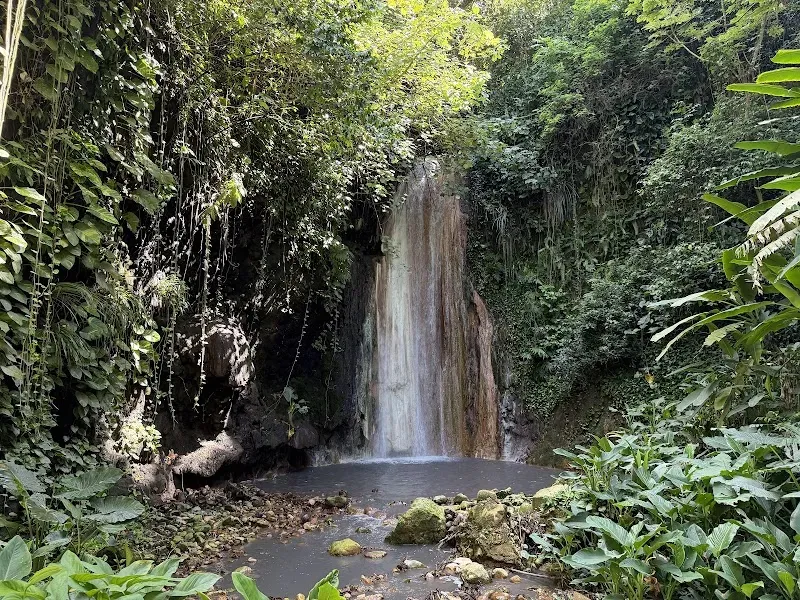 Diamond Falls Botanical Gardens & Mineral Baths - Nature attraction in the Caribbean