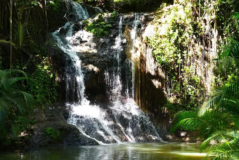 LaTille Falls & Garden
