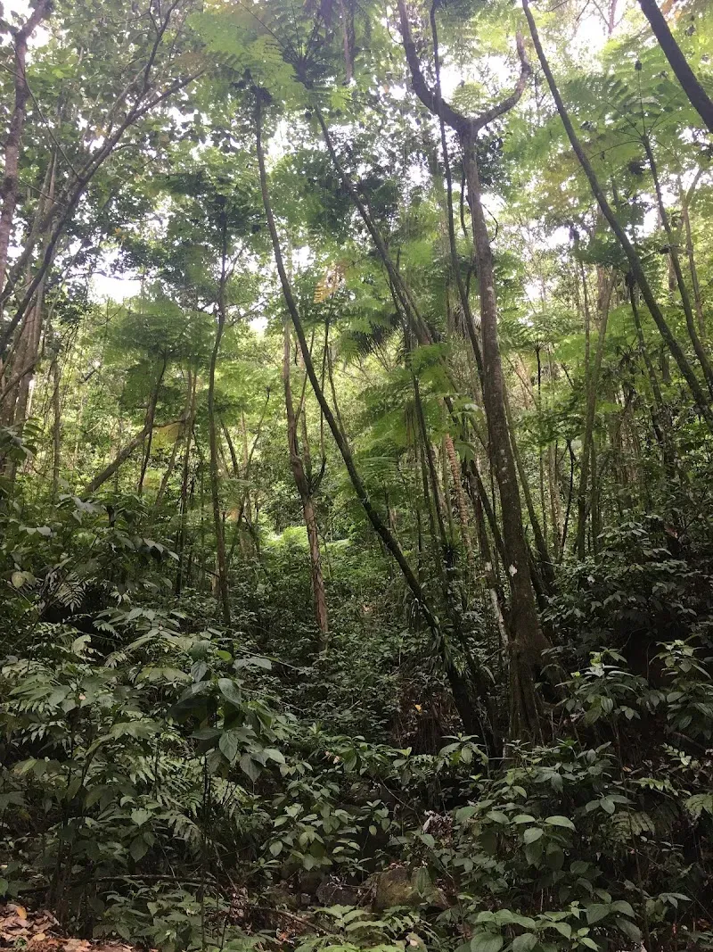 Millet Bird Sanctuary & Nature Trail - Nature attraction in the Caribbean