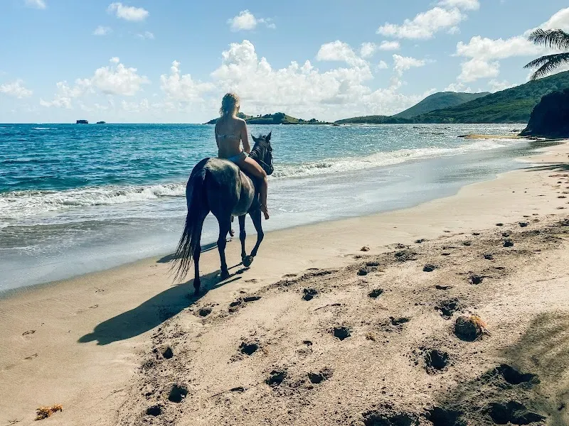 Sandy Hoofs St. Lucia