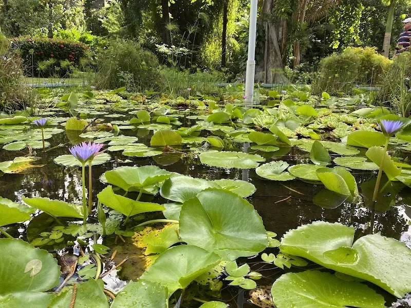 Botanical Gardens - Nature attraction in the Caribbean