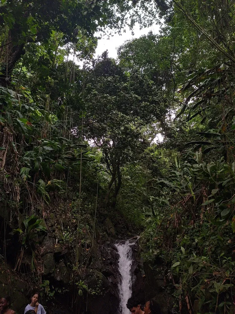 Fenton Falls - Nature attraction in the Caribbean