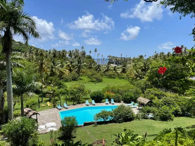 Firefly Estate Tours