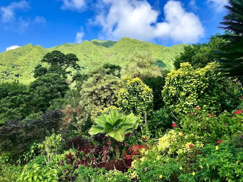 Montreal Gardens 🇻🇨 - Nature attraction in the Caribbean