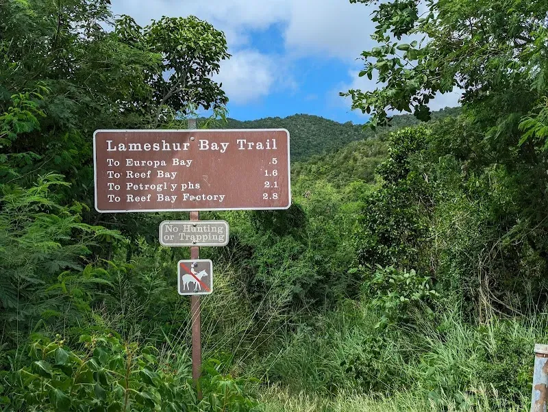 Lameshur Bay Trail - Nature attraction in the Caribbean