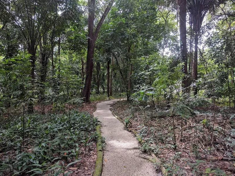 Cleaver Woods Park - Nature attraction in the Caribbean