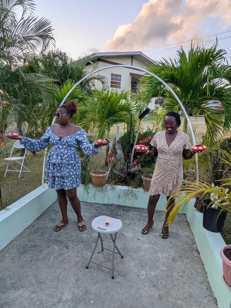 CP'S Bird Sanctuary - Nature attraction in the Caribbean