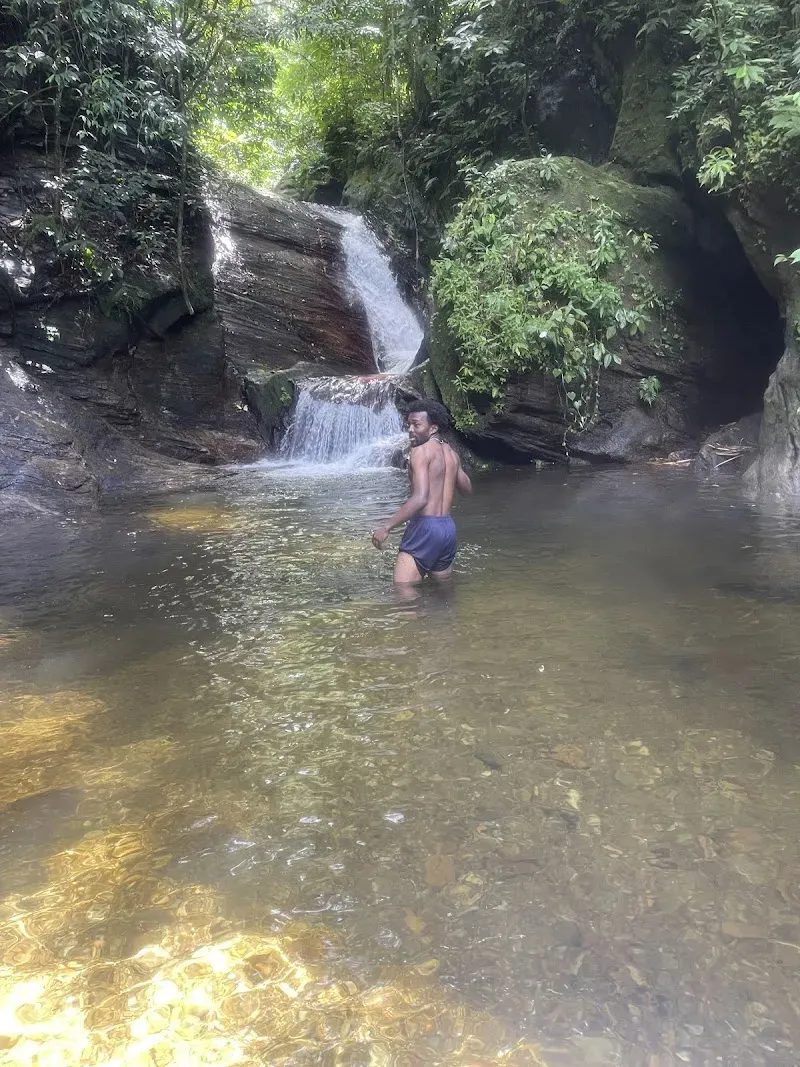 Maracas Waterfall - Nature attraction in the Caribbean