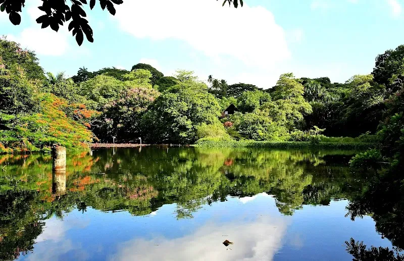 Pointe-à-Pierre Wildfowl Trust - Nature attraction in the Caribbean
