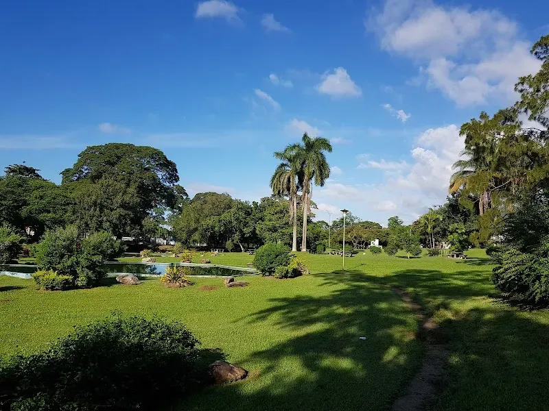 Queen's Park Savannah