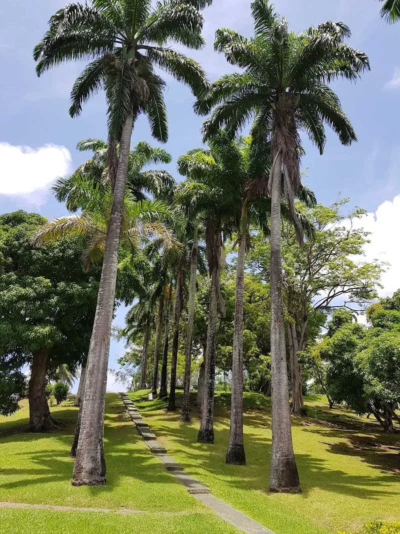 Scarborough Botanical Garden - Nature attraction in the Caribbean
