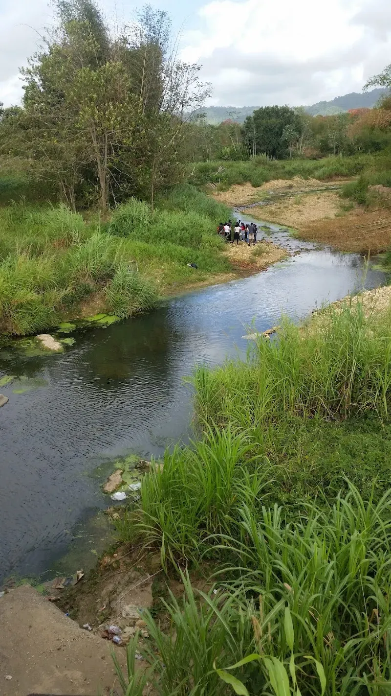 Turtle Village Trust