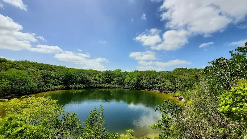 Cottage Pond - Nature attraction in the Caribbean