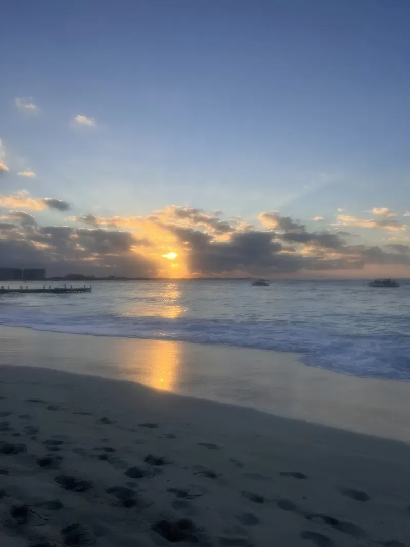 Flamingo Beach - Nature attraction in the Caribbean