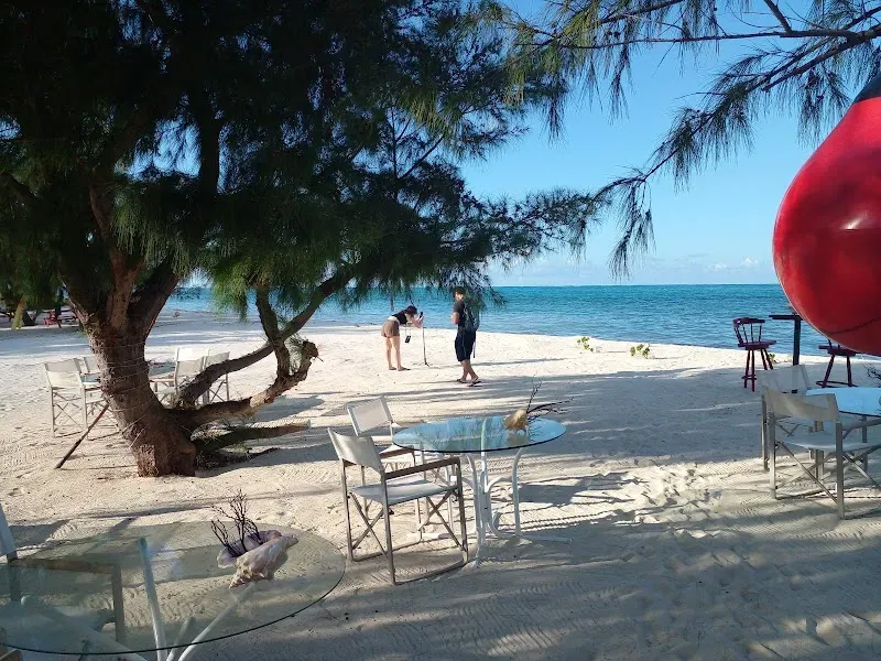 Kimcha Village Bird Sanctuary - Nature attraction in the Caribbean