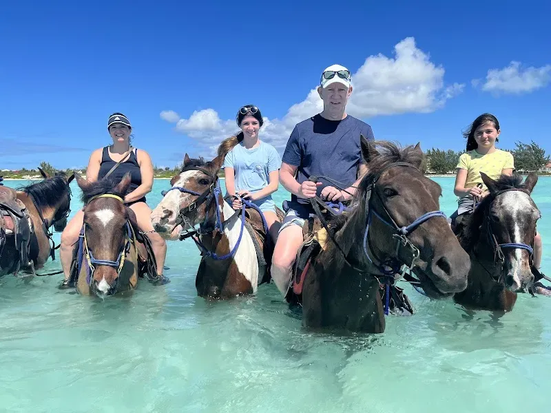 TCI Heritage Horseback Riding & Tours - Nature attraction in the Caribbean