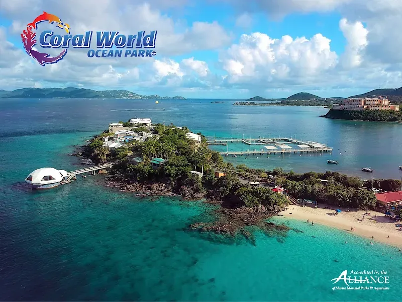 Coral World Ocean Park - Marine attraction in the Caribbean