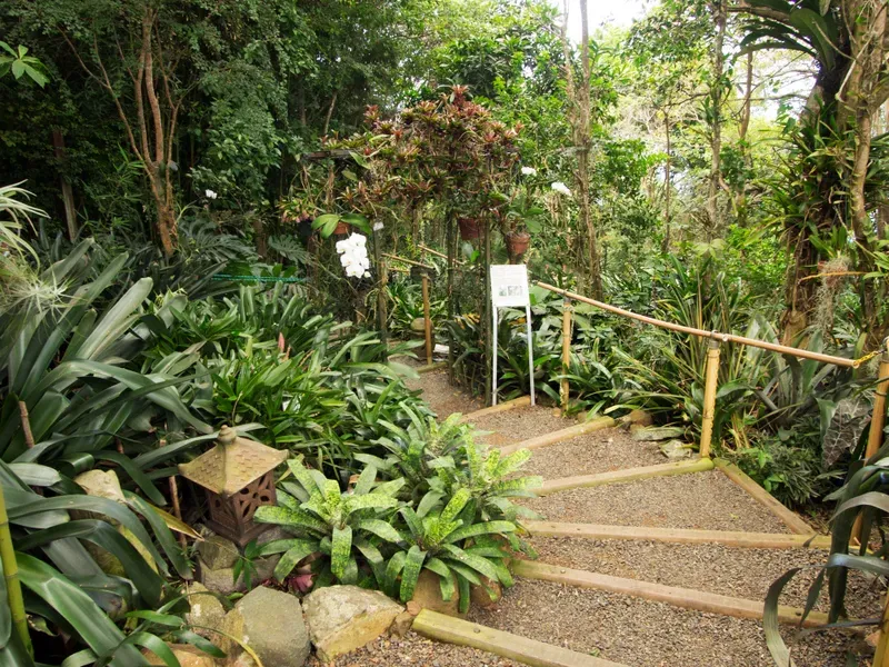 Phantasea Tropical Botanical Garden - Nature attraction in the Caribbean