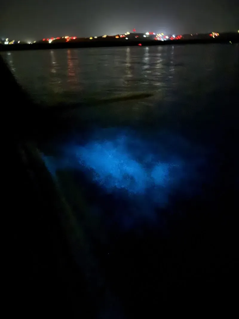 Bio bay beach - Nature attraction in the Caribbean