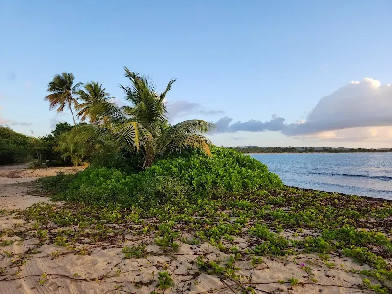 El Cayo Beach - Nature attraction in the Caribbean