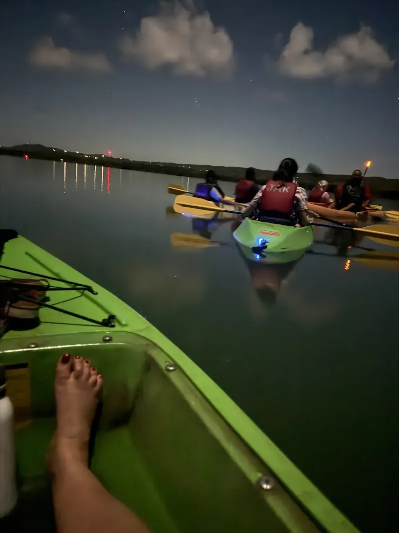 Jak Water Sports Bioluminescent Bay Tour & Rental - Nature attraction in the Caribbean