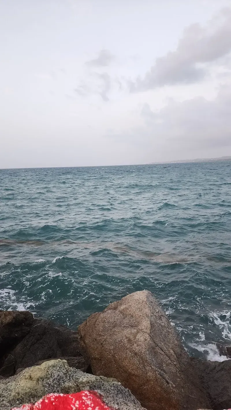 Mosquito Pier - Nature attraction in the Caribbean