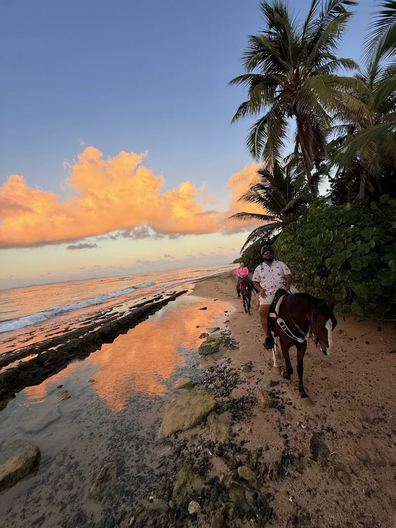 Playa La Chata - Nature attraction in the Caribbean