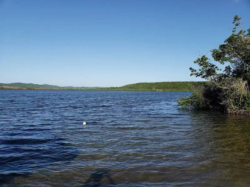 Puerto Mosquito Bioluminescent Bay - Nature attraction in the Caribbean